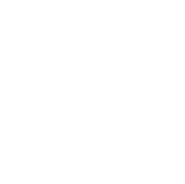 Technical Strategy